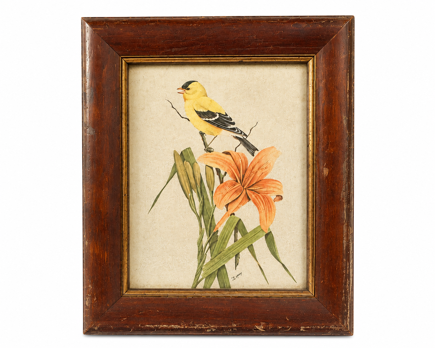 Framed Bird & Lily Botanical Print